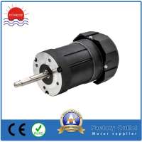 Brushed DC Motor/Brush Motor/DC Motor 83zyt with Fan