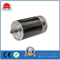 110zyt165-4830 PMDC Motor DC Motor Electric Motor/Brush Motor/Brushed DC Motor